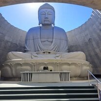 Hill of Buddha 