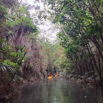 Kayaking through mangroves