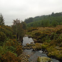 Rumbling creek