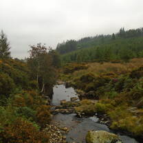 Rumbling creek