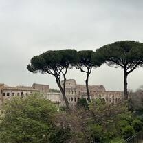 View of the Colosseum from the Forum!