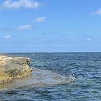 my favorite beach 