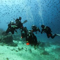 share love under water guys