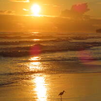 A sunset in Uvita, Costa Rica