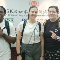 Chinese language