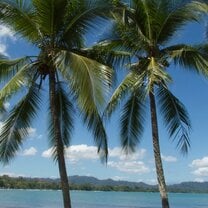 the caribbean