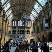 Went to the Natural History Museum 