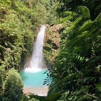beautiful waterfall in the jungle 