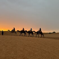 Riding camels in the sahara 