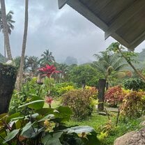 Typical rainy evening in the Fiji highlands