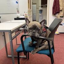 Planning a lesson with our buddy
