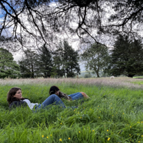 laying in the grass
