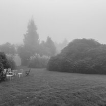 Chateau grounds in the fog