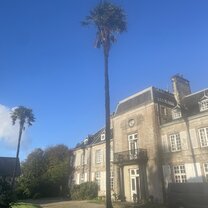 the lovely chateau  