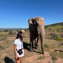 Morning at the elephant sanctuary 