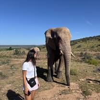 Morning at the elephant sanctuary 