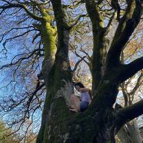 Kelly’s trees
