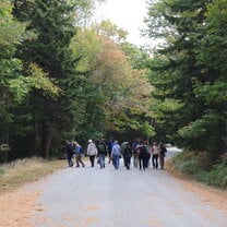 On a hike