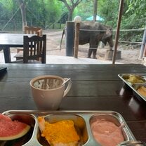View from breakfast table.