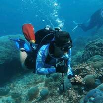 Searching for Coral Fragments