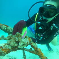 Coral clean up