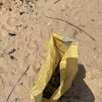 Beach cleaning 