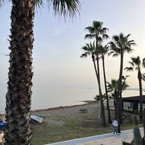 Estepona 