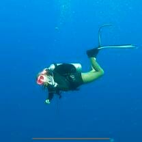 Dive at Gamat Bay Wall