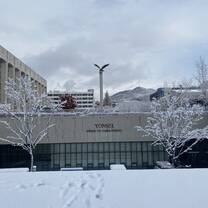 Got to witness South Korea get the most snow they have ever gotten in over 100 years!