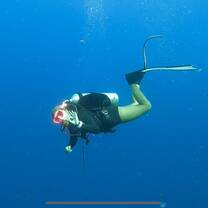 Dive at Gamat Bay Wall