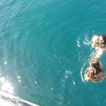 Snorkeling on one of the islands while the boat was anchored 