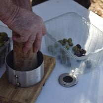 Learning about the importance of olive trees in agriculture and gastronomy in Grenada