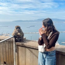 Gibraltar Monkeys!