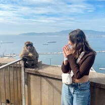 Gibraltar Monkeys!
