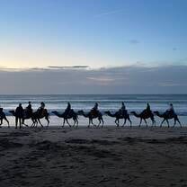 RVF in Morocco!