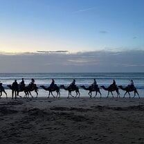 RVF in Morocco!