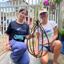 Sea turtle friendly lamps! 