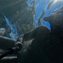 Snorkeling! 
