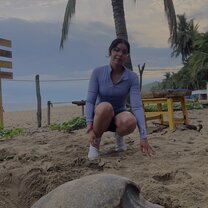 Nesting sea turtle!