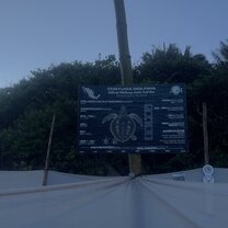 Incubation protection site 