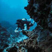 Diving on the north side!