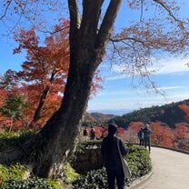 勝尾寺