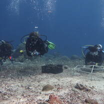 working underwater at the coral restoration site