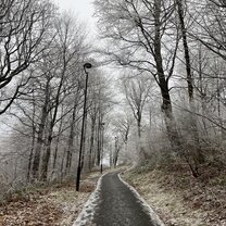Path to Uni in the Winter