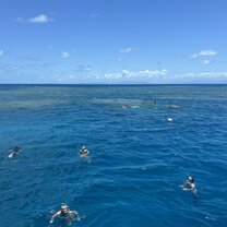 Snorkeling in the Great Barrier Reef