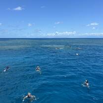 Snorkeling in the Great Barrier Reef