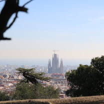 Segrada de Familia from Park Guell