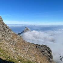 Lions Head