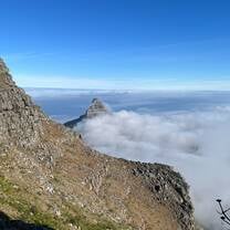 Lions Head