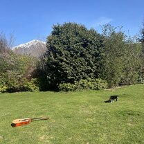 Living the dream🎵🐈🏔️